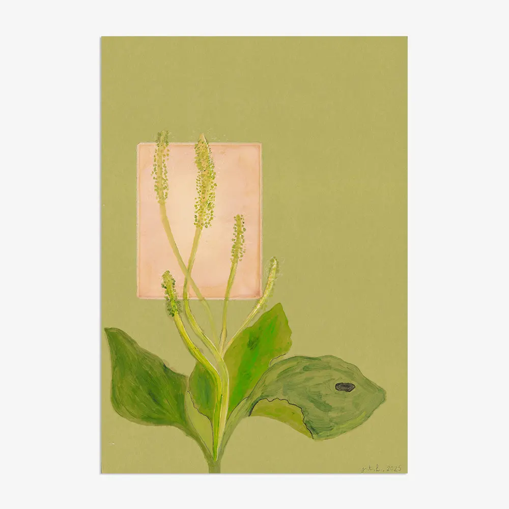 On The Necessity Of Training Nonviolent Verbal Communication 1
