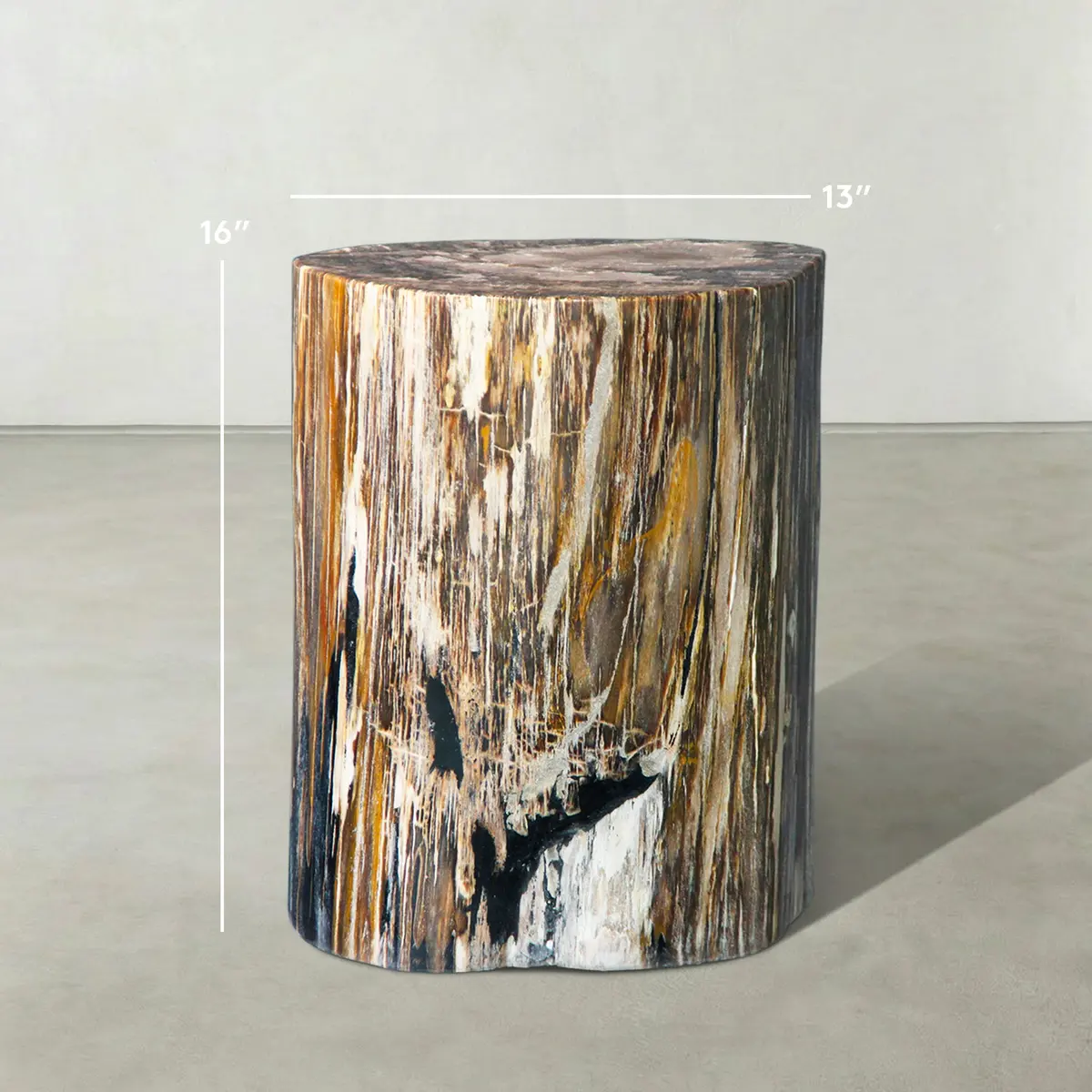 Natural Polished Petrified Wood Stool From Indonesia - 16" / 166 Lbs 1