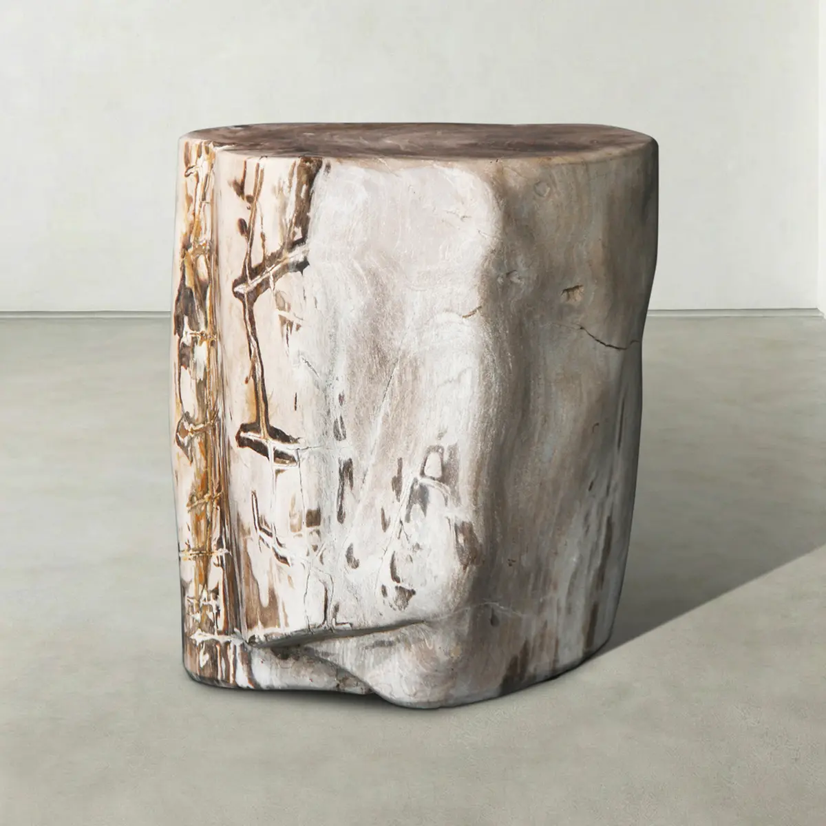 Natural Polished Petrified Wood Stool From Indonesia - 18" / 221 Lbs 1