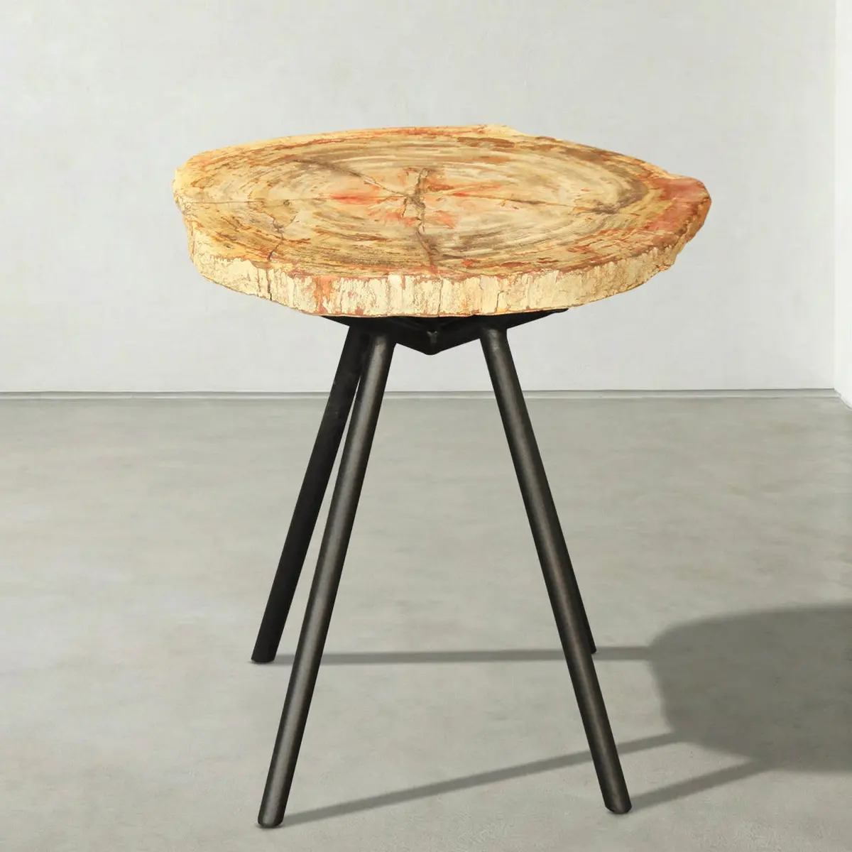 Natural Petrified Wood Round Slab Coffee Table From Indonesia - 16" / 20 Lbs 1