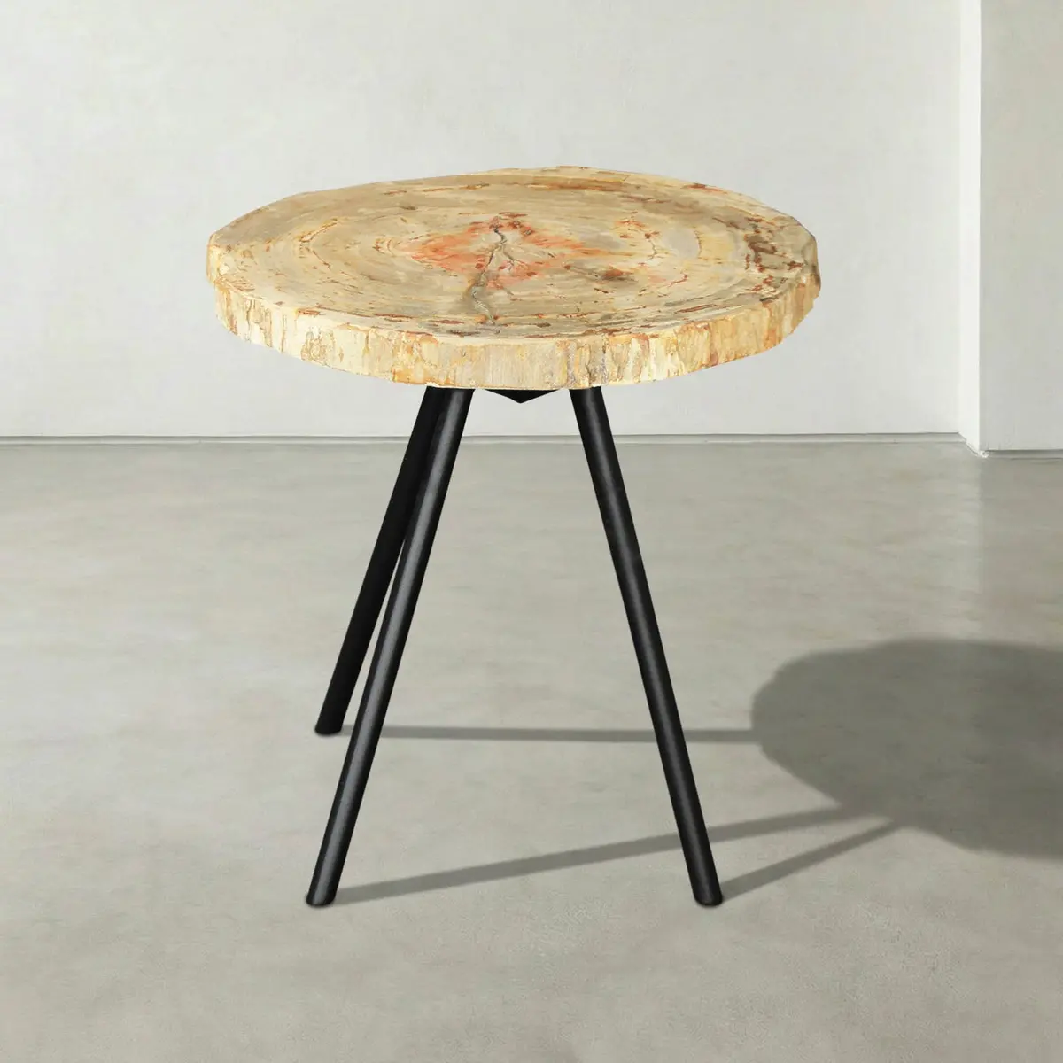 Natural Petrified Wood Round Slab Coffee Table From Indonesia - 17" / 22 Lbs 1