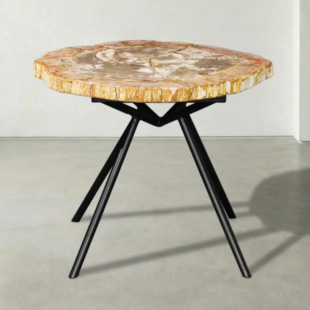 Natural Petrified Wood Round Slab Coffee Table From Indonesia - 22" / 33 Lbs 1