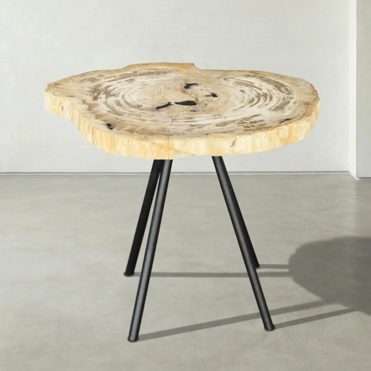Natural Petrified Wood Round Slab Coffee Table From Indonesia - 21" / 36 Lbs 1