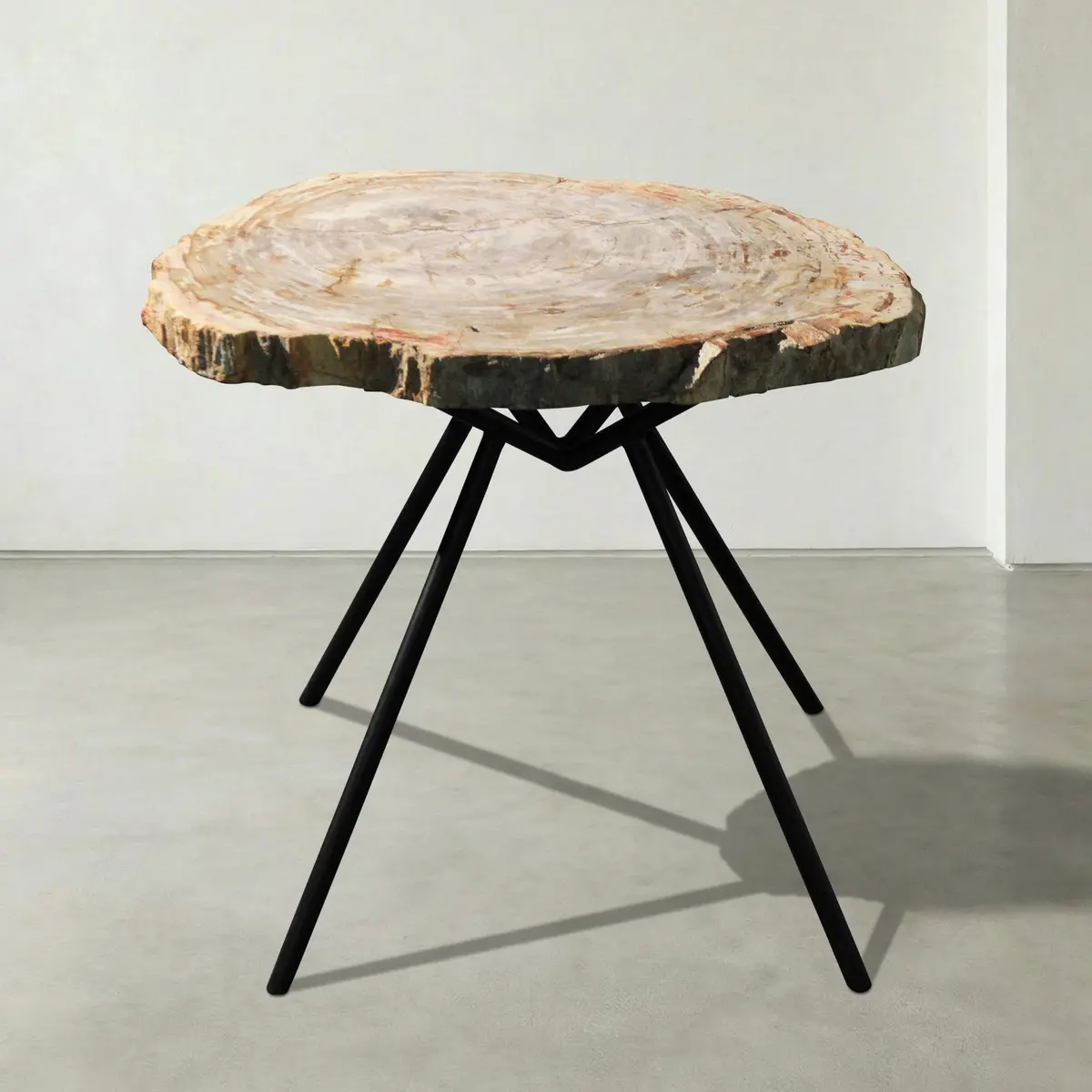 Natural Petrified Wood Round Slab Coffee Table From Indonesia - 23" / 44 Lbs 1