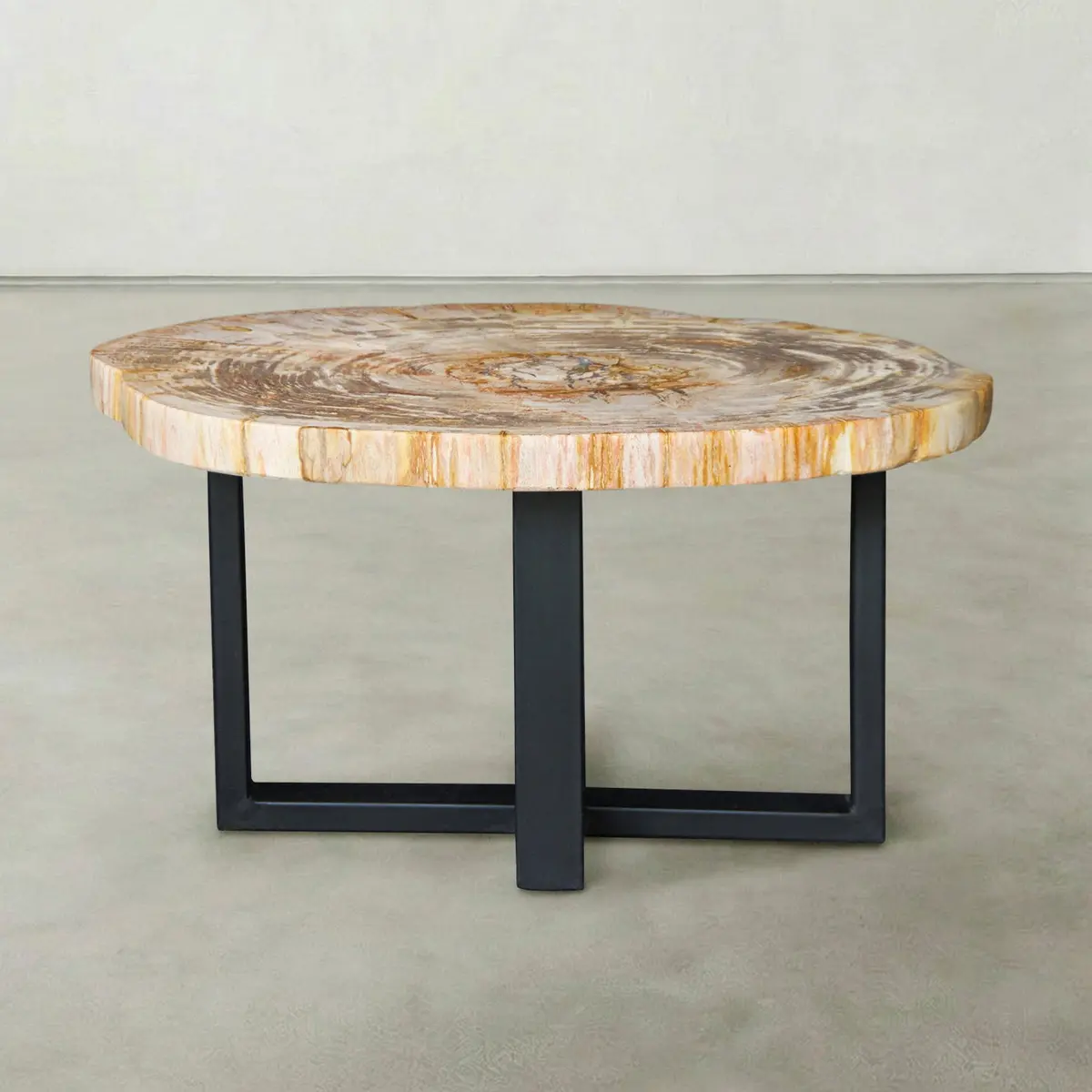 Natural Petrified Wood Round Slab Coffee Table From Indonesia - 30" / 91 Lbs 1