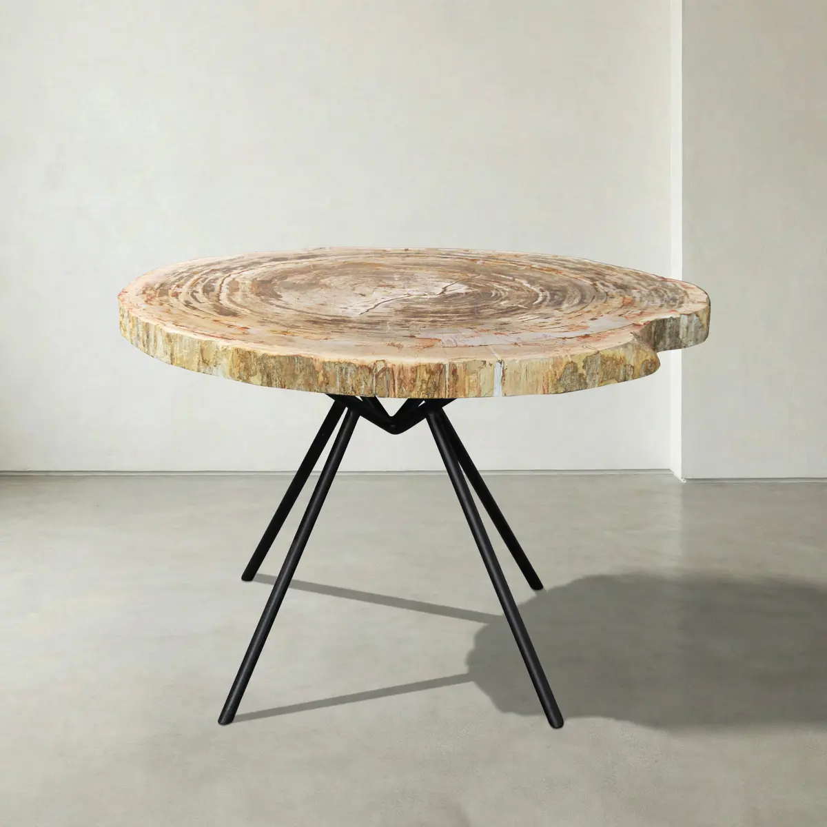 Natural Polished Petrified Wood Round Table Top From Indonesia - 33" / 117 Lbs 1