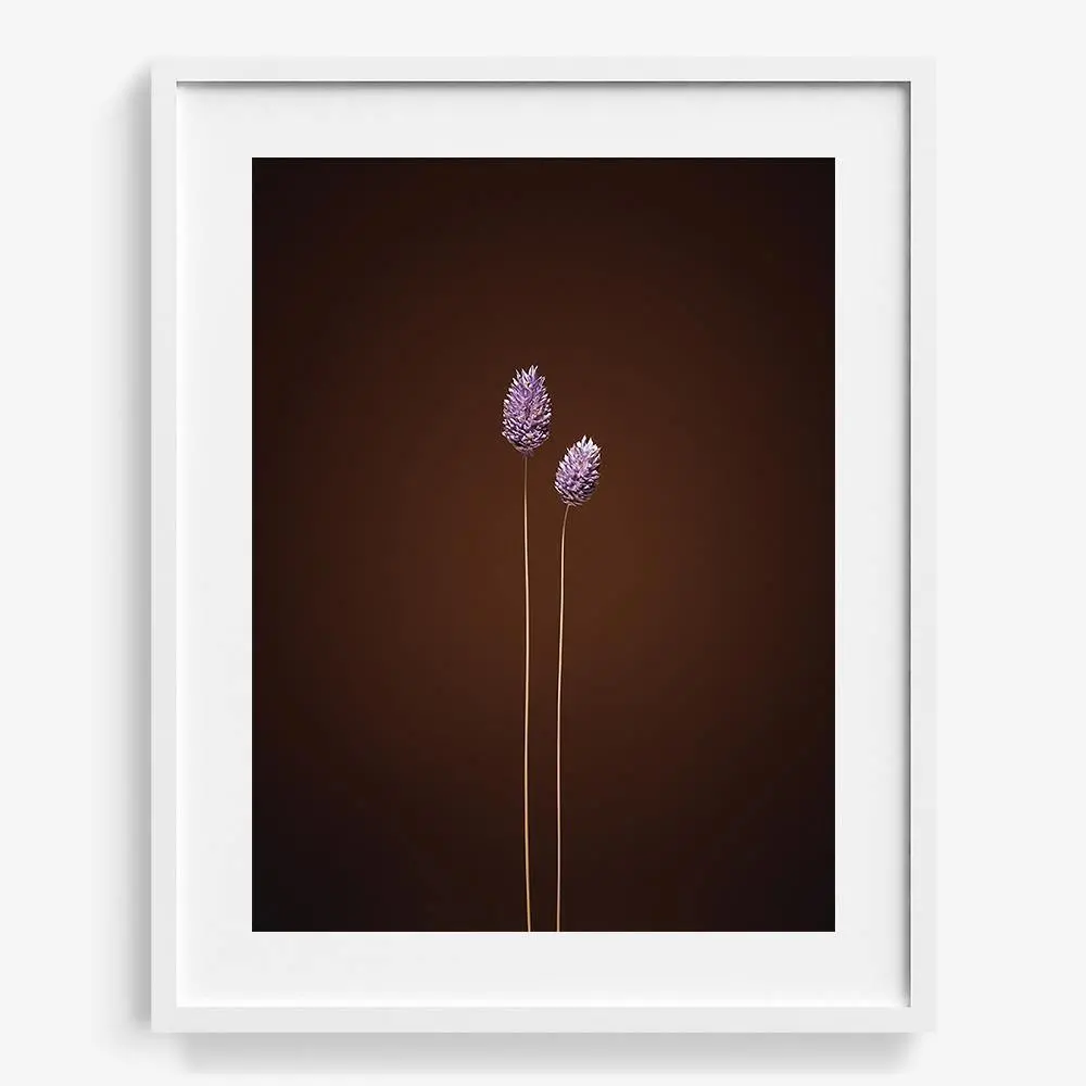 Plants From Space 10 19