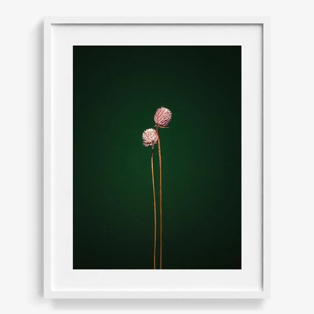 Plants From Space 11 19