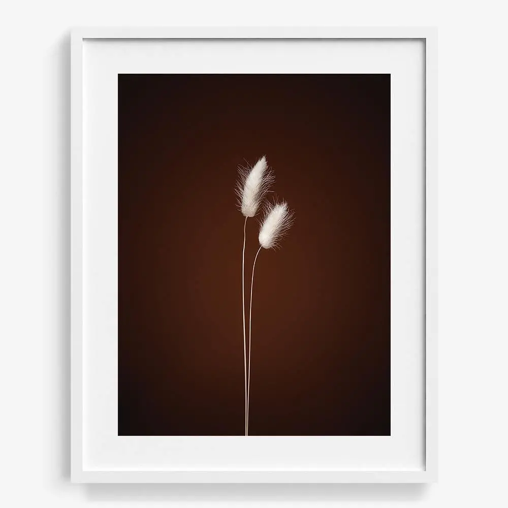 Plants From Space 05 19