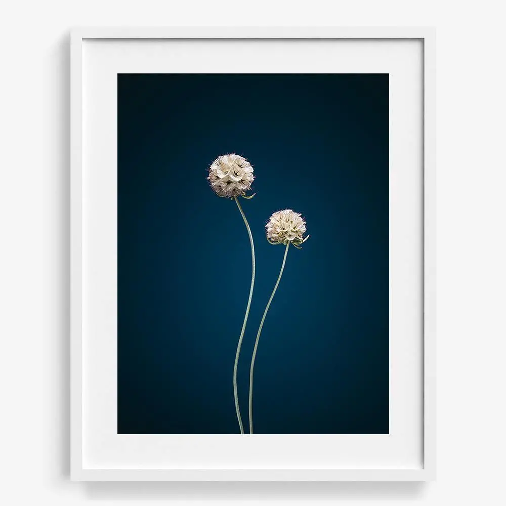 Plants From Space 07 19