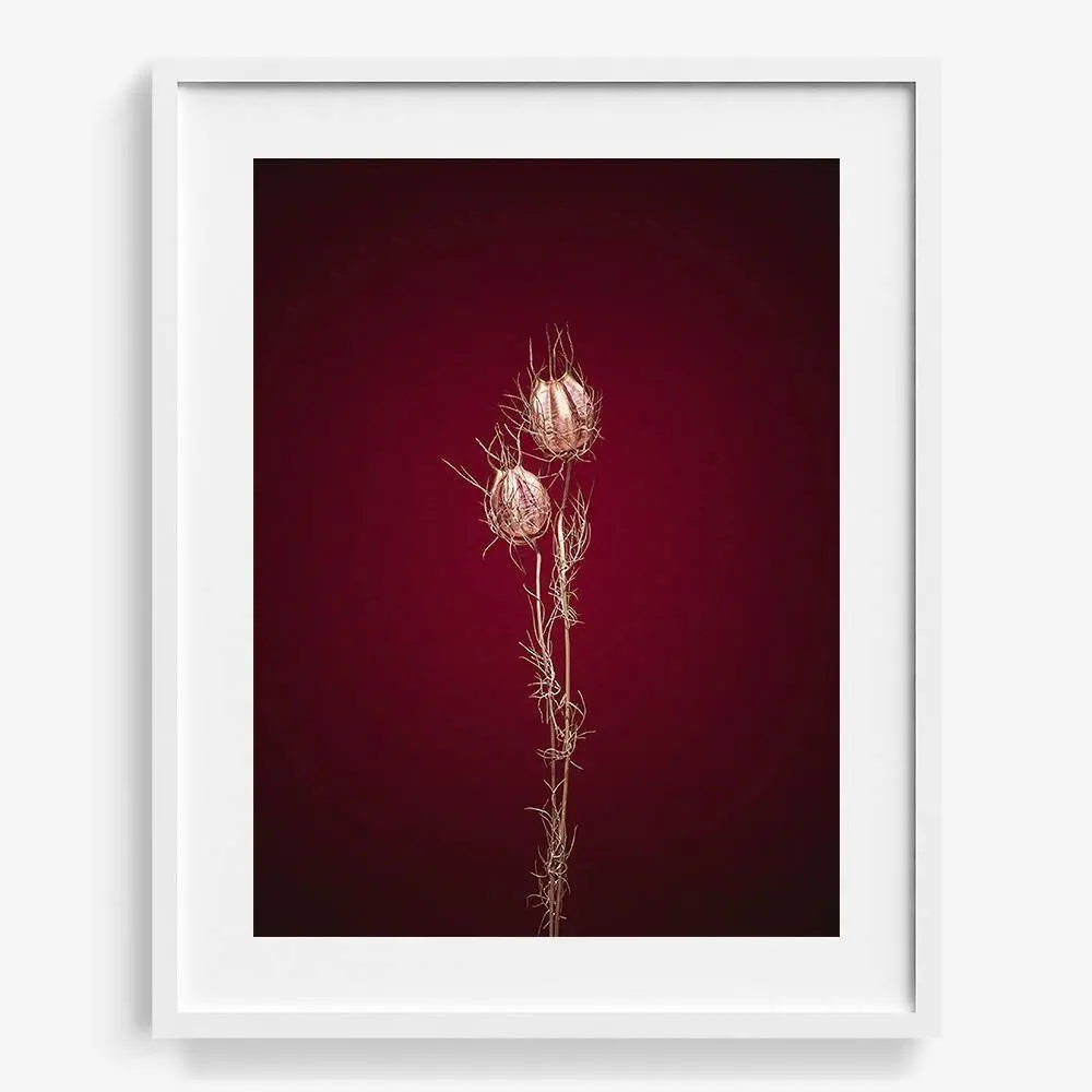 Plants From Space 08 19