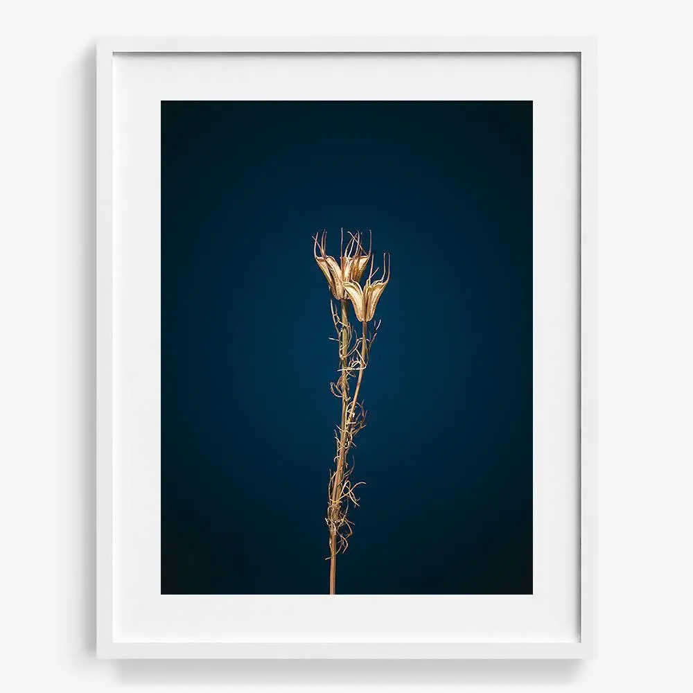 Plants From Space 09 19