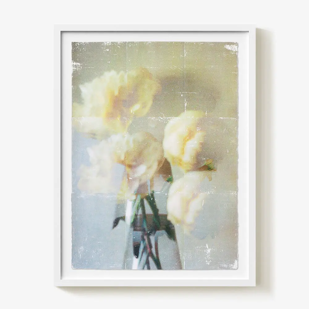 Ranunculus_Study.02 1