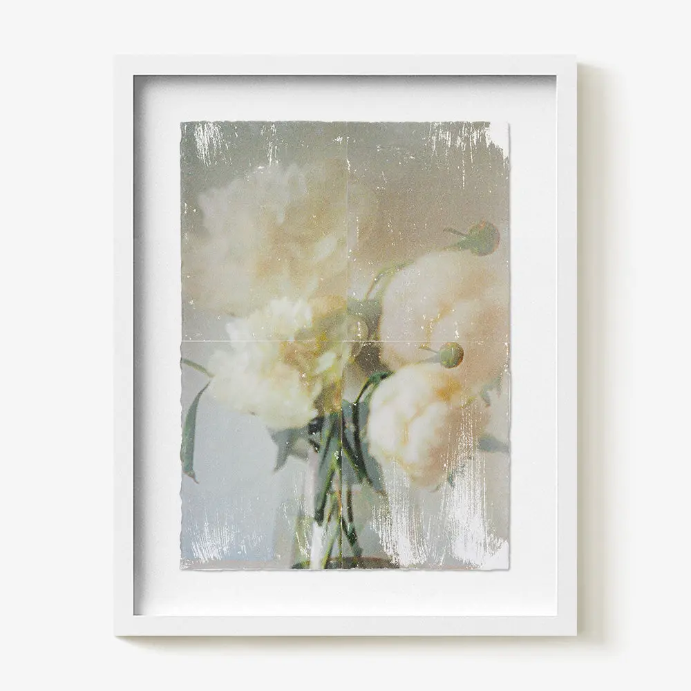 Ranunculus_Study.04 1