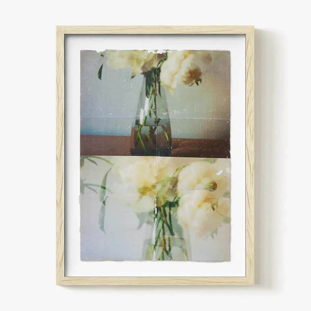Ranunculus_Study.05 1