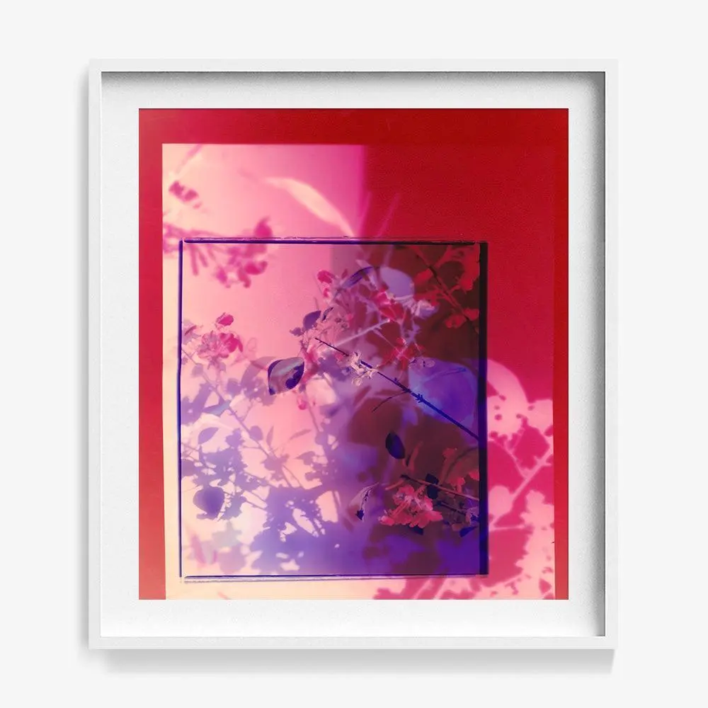 Reflection In Him 1