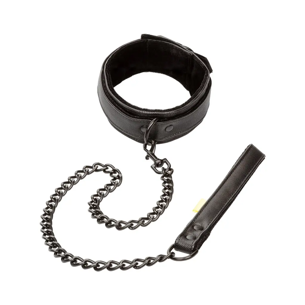 Boundless Collar & Leash 1