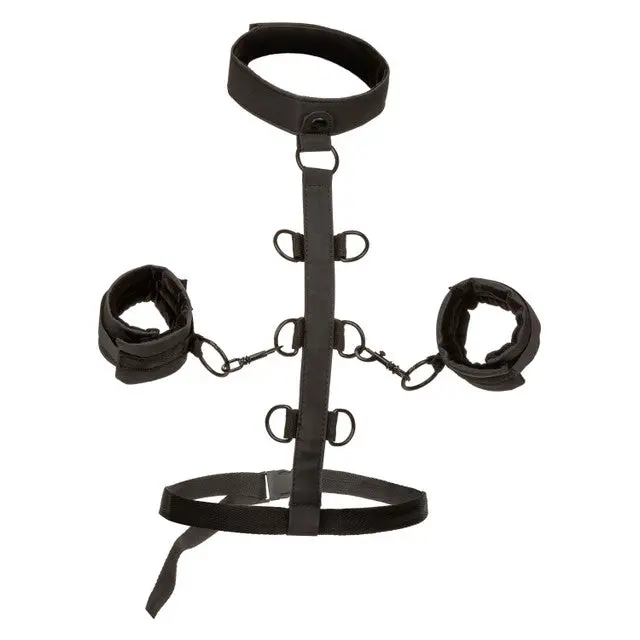 Boundless™ Collar Body Restraint 1