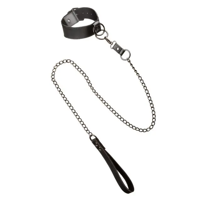 Euphoria Collection Collar With Chain Leash 1