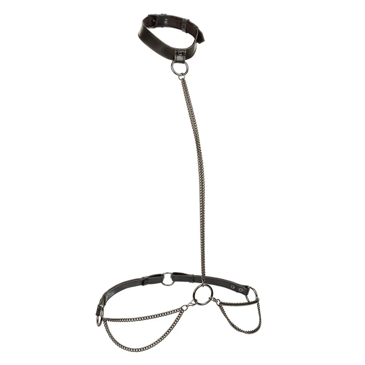 Euphoria Collection Chain Halter/Collar & Leash 1