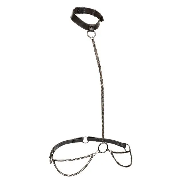 Euphoria Collection Plus Size Chain Halter/Collar & Leash 1