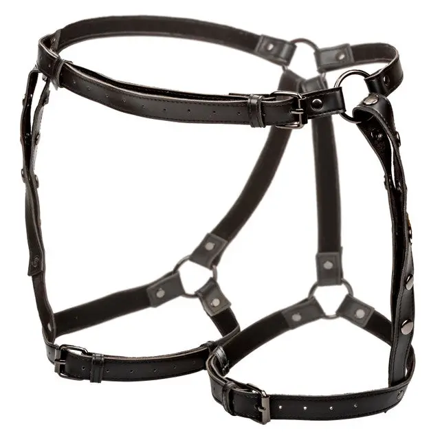 Euphoria Collection Riding Thigh Harness 1