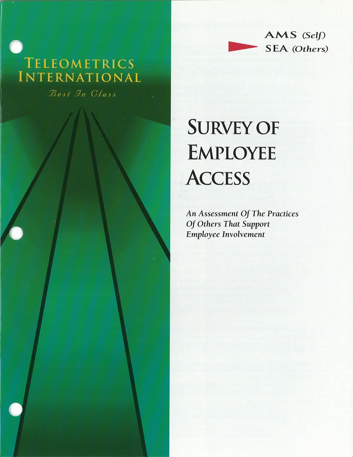 Co-Worker Feedback>> Survey Of Employee Access (Sea) 1