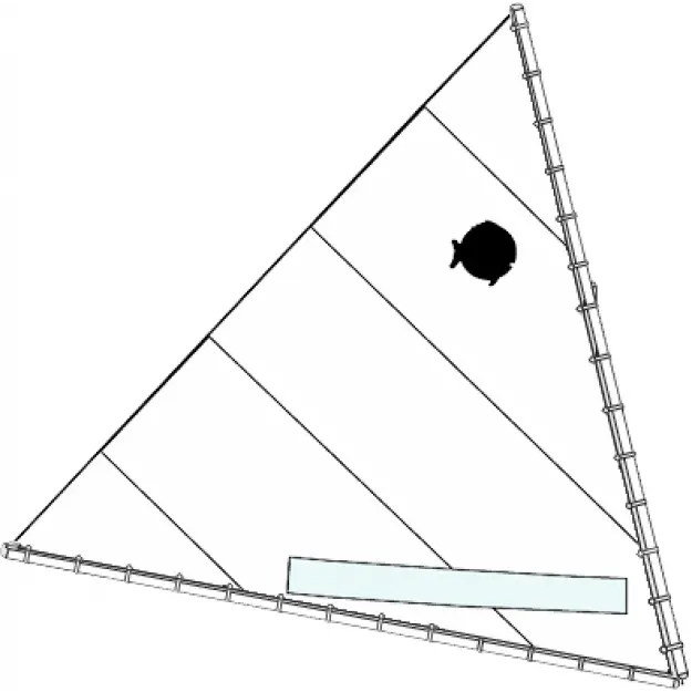 Sunfish Sail - All White 1