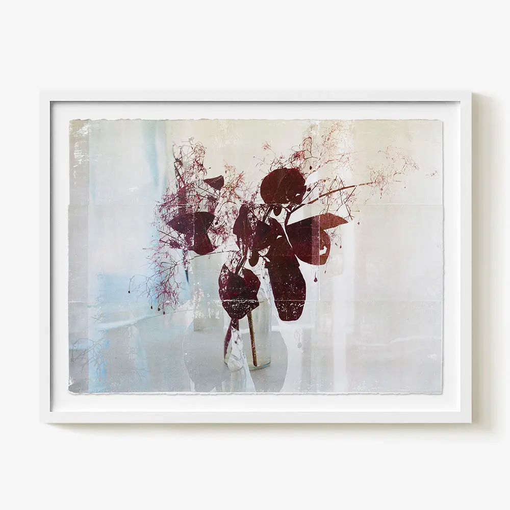 Smokebush_Study.02 1