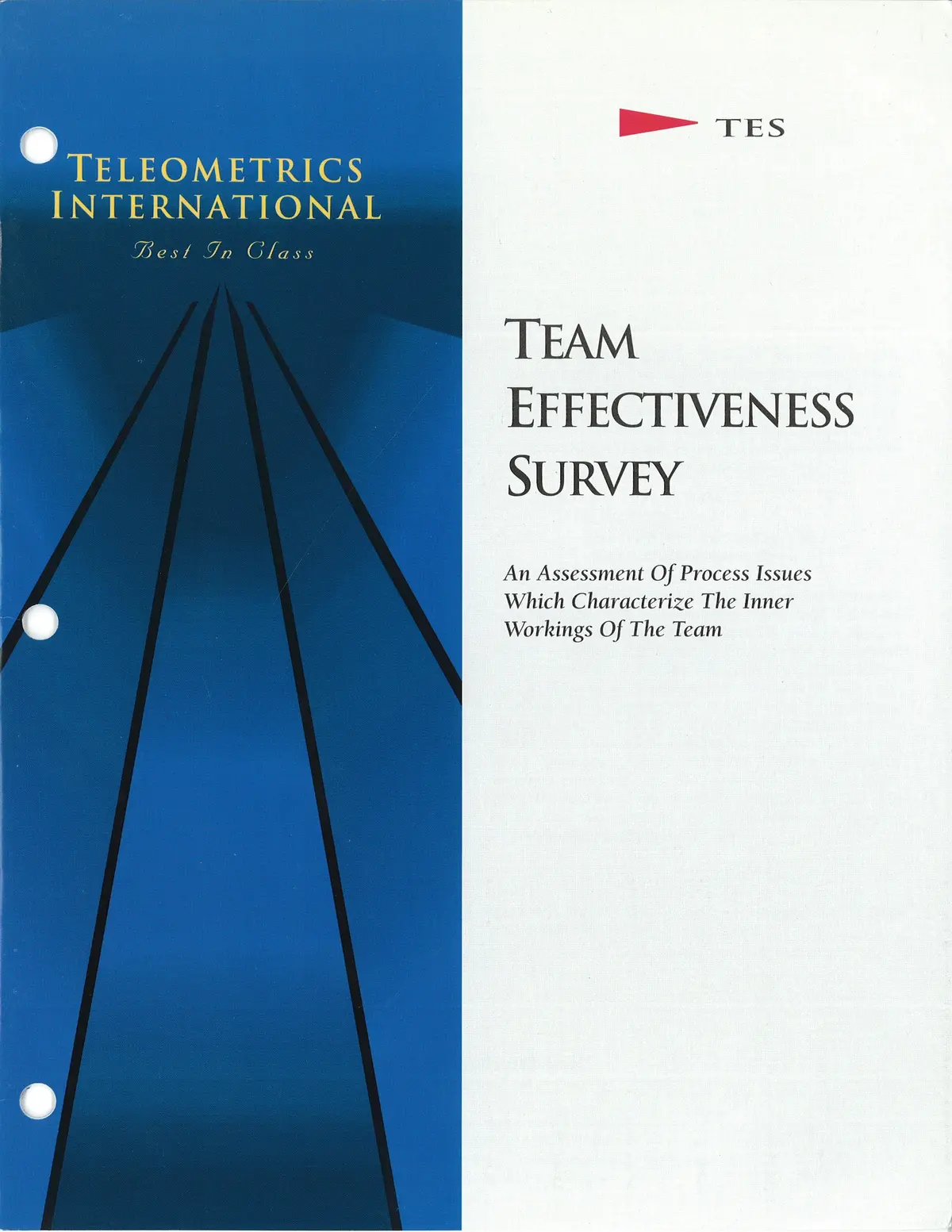 Group Survey>> Team Effectiveness Survey (Tes) 1