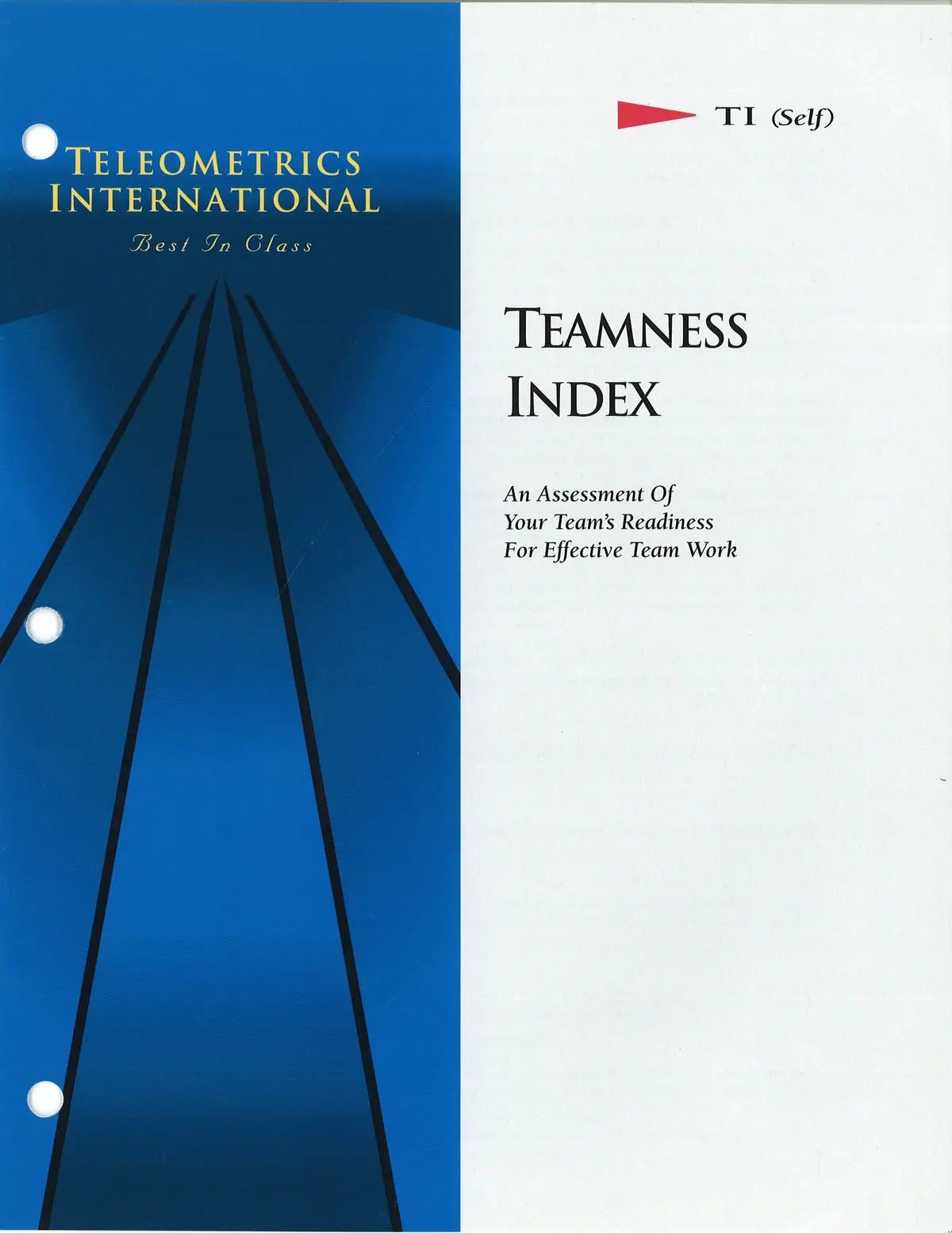 Self-Survey>> Teamness Index (Ti) 1