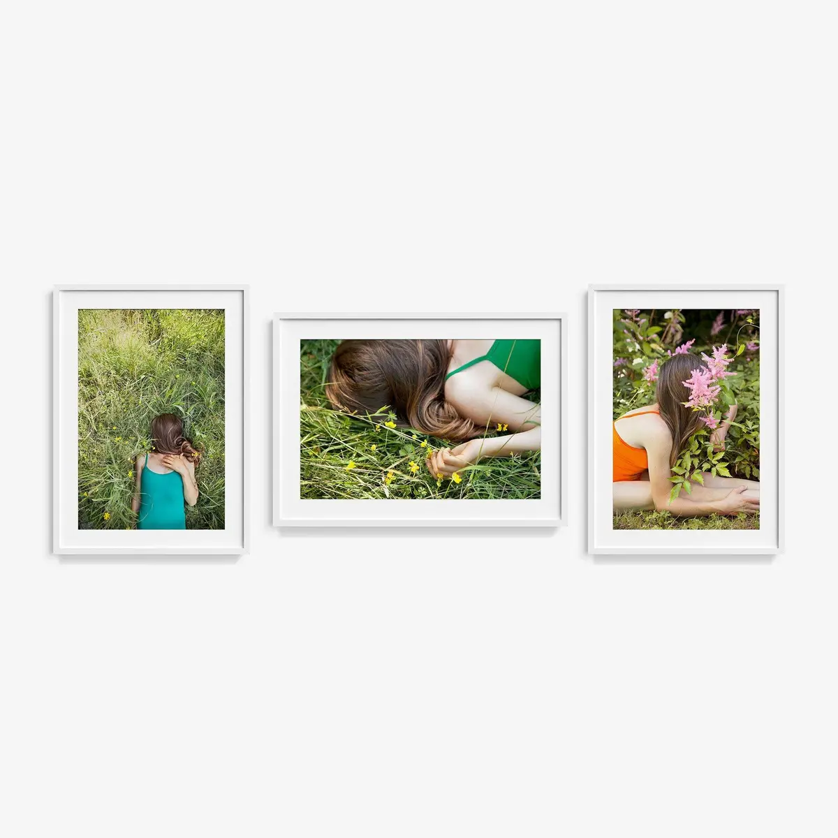Edelweiss (Triptych) 1