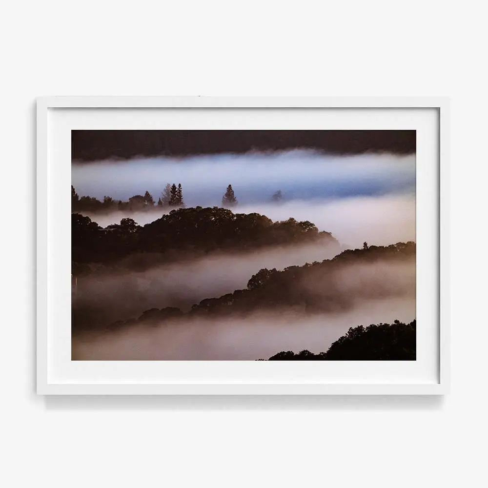 Untitled (Macarthur) 8 19