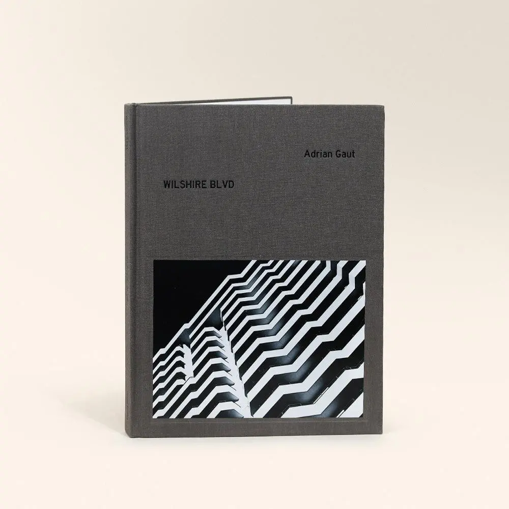 Adrian Gaut: Wilshire Blvd 1
