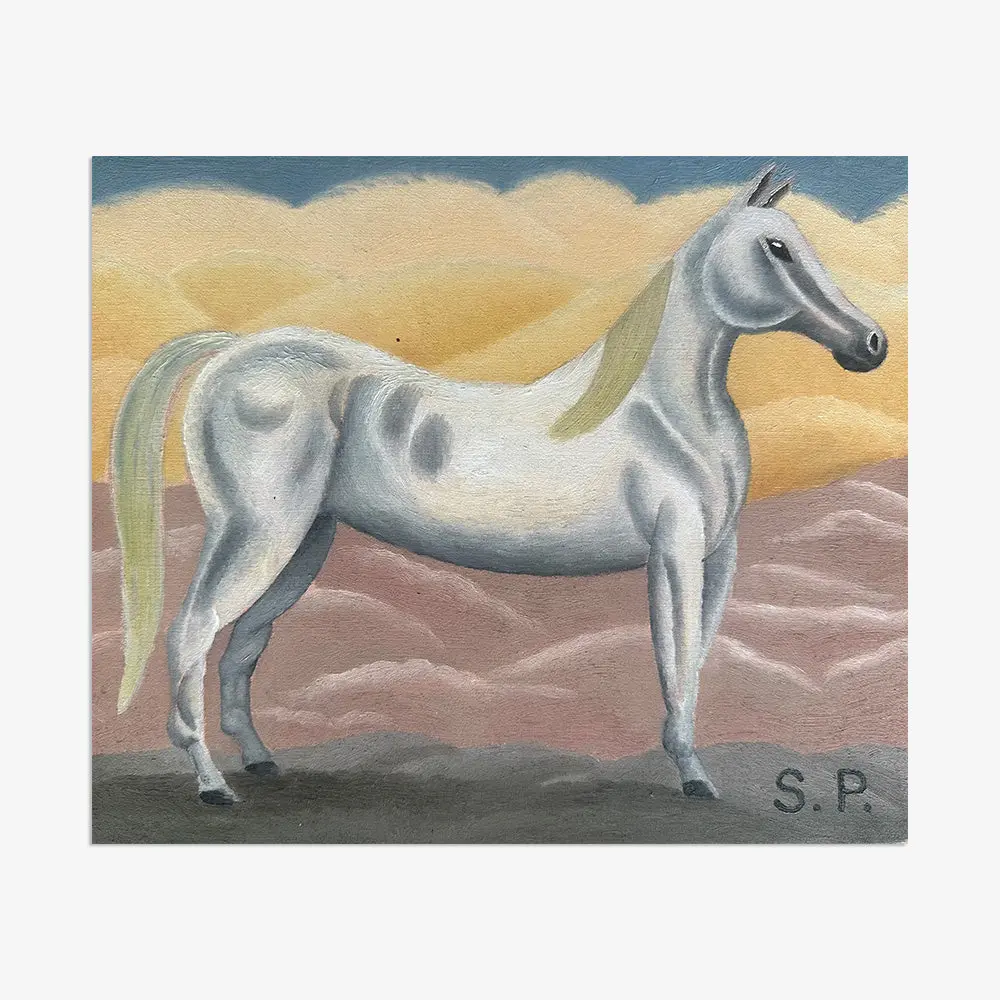 White Horse In The Desert 1