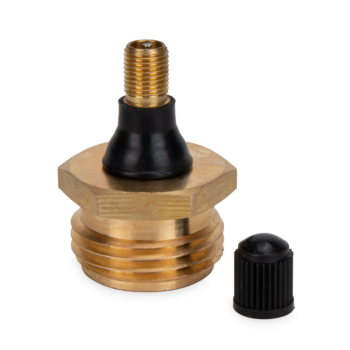 Blow Out Plug With Schrader Valve - Brass (Eng/Fr) 1