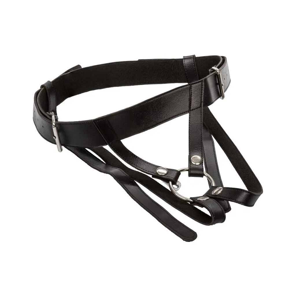 Universal Love Rider Premium Ring Harness - Black 1
