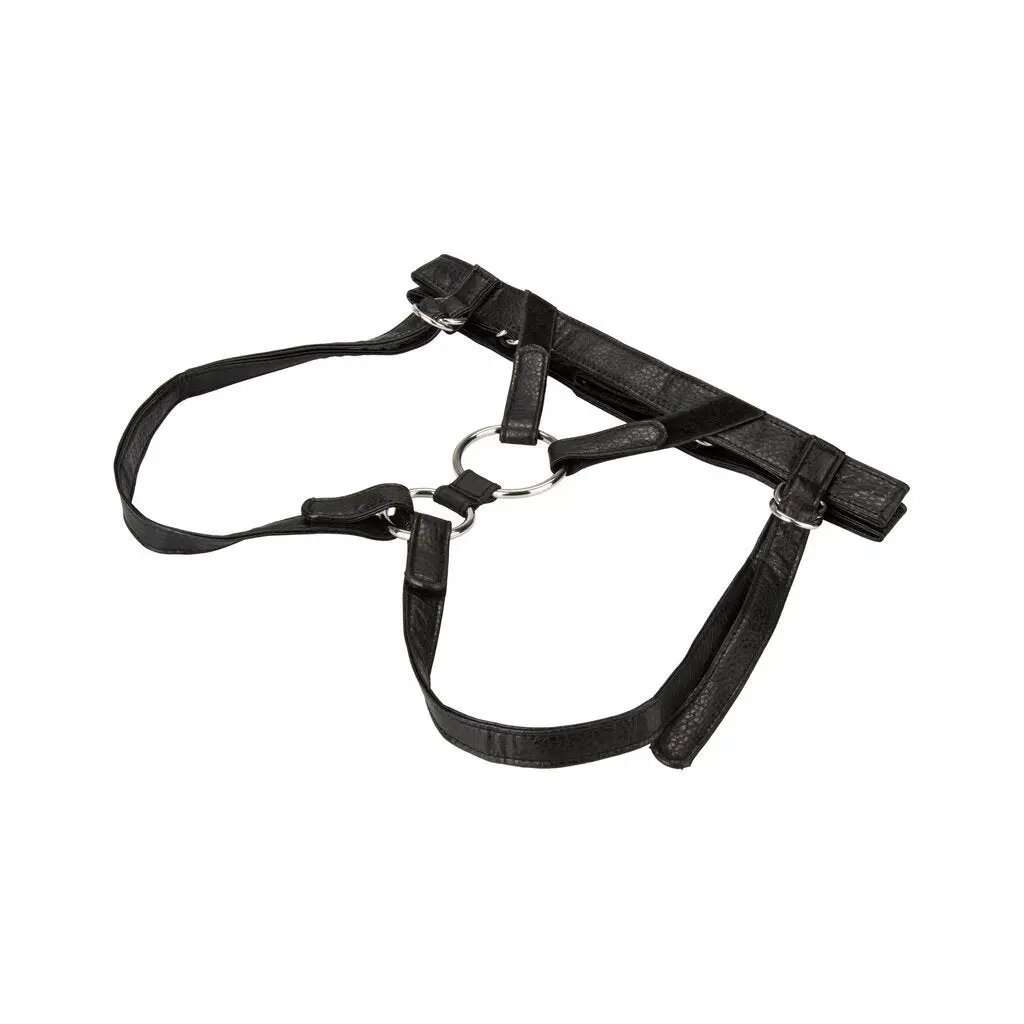 Her Royal Harness The Duchess 1