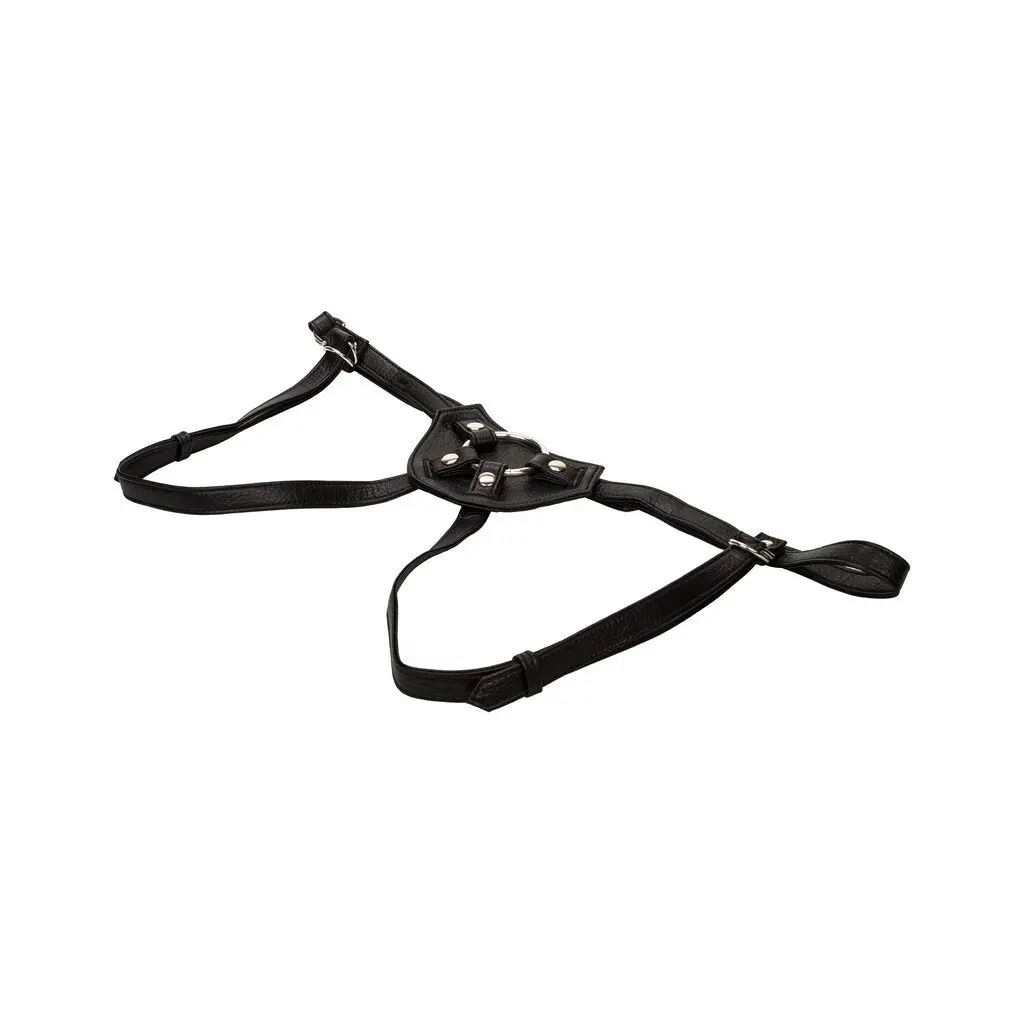 Her Royal Harness The Countess 1