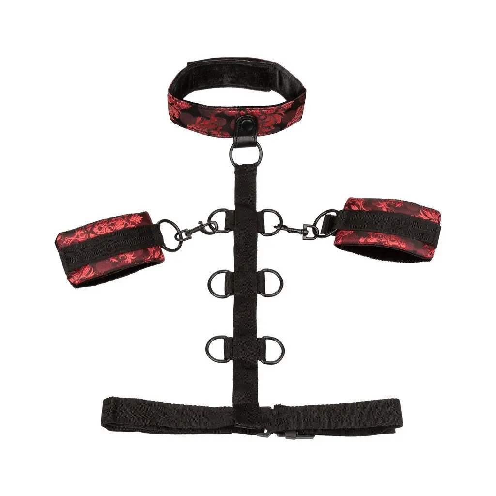 Scandal Collar Body Restraint - Red 1