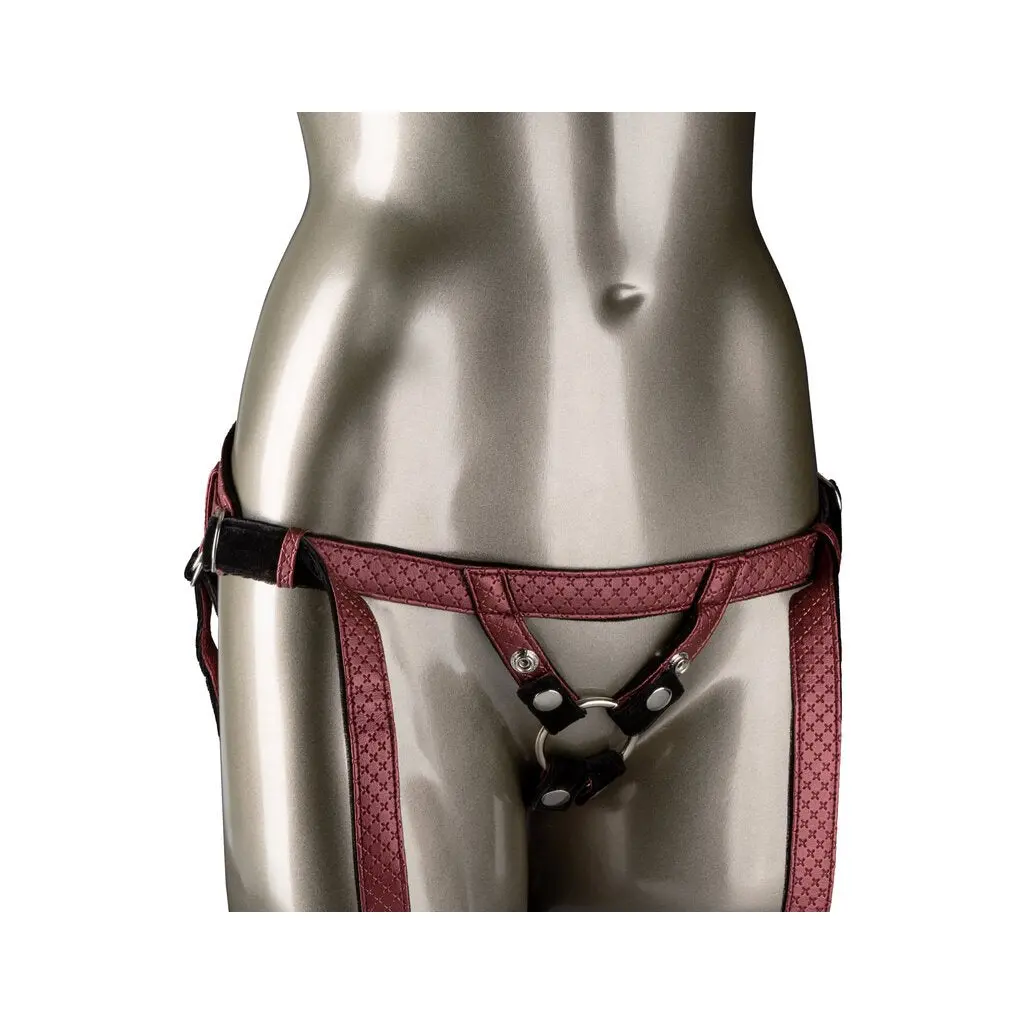 Her Royal Harness The Regal Duchess 1