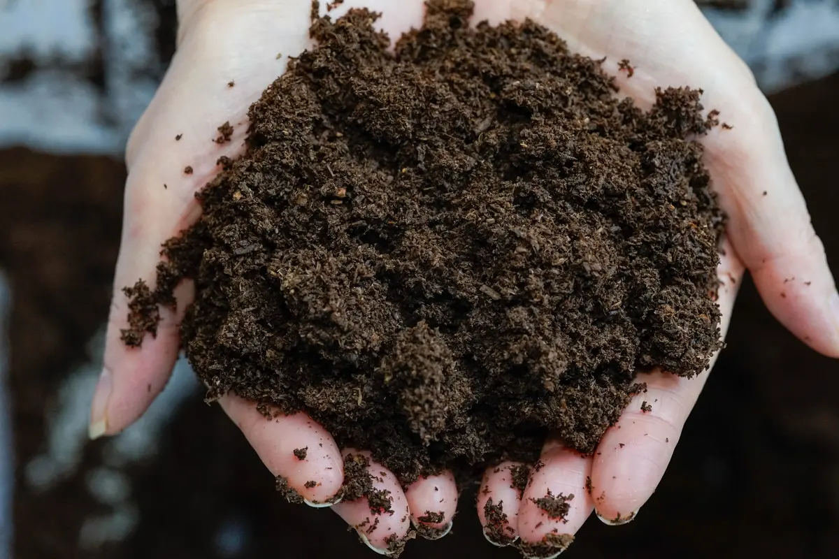 Rhino Beetle Flake Soil 1