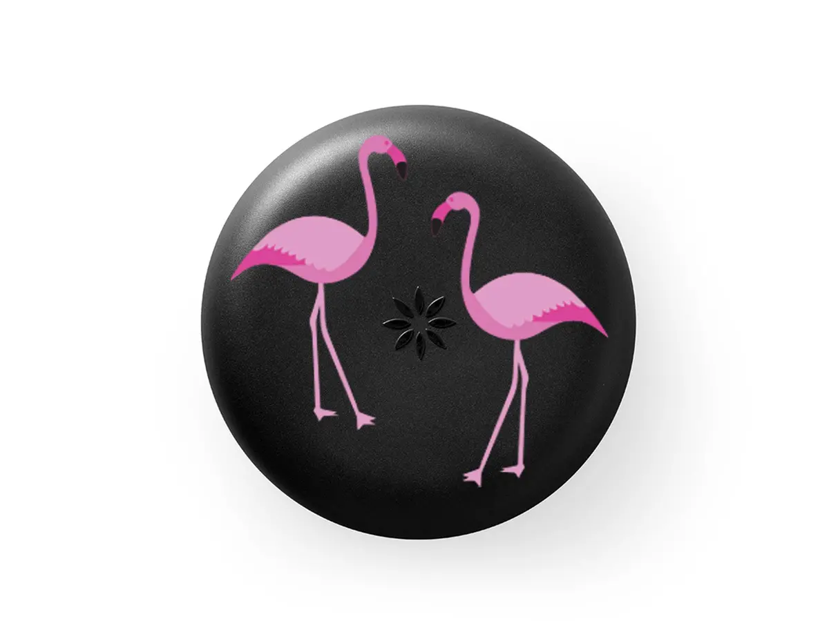 Invisalign™ Aligner Case Flamingo 1
