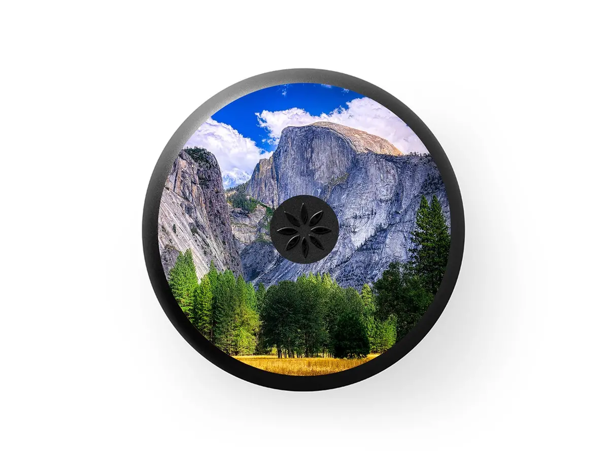 Invisalign™ Aligner Case Half Dome 1