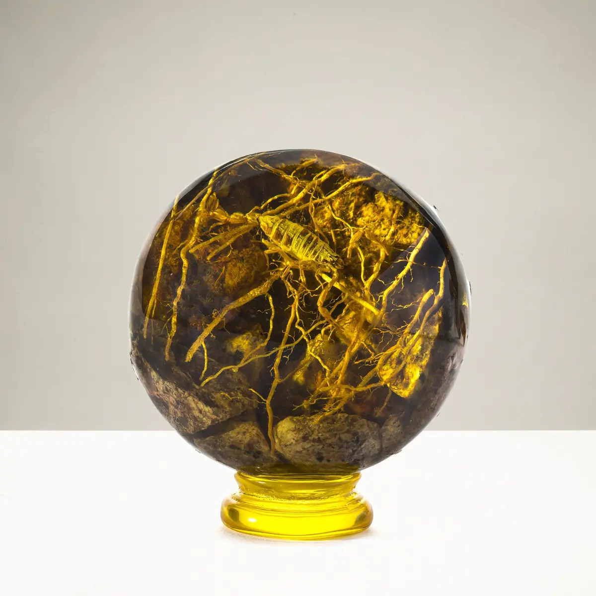 Cultured Amber Sphere With Scorpion - 4" 1