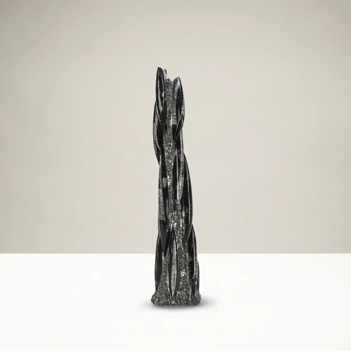Moroccan Orthoceras Fossil Tower - 21" 1