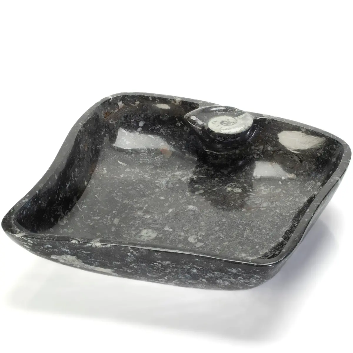 Orthoceras Fossil Sink Bowl 1
