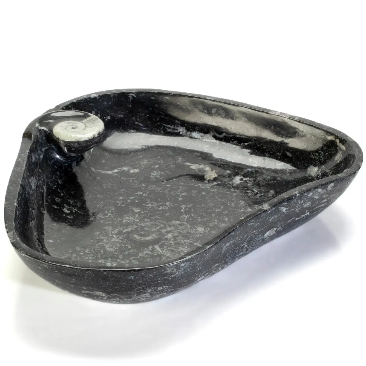 Orthoceras Fossil Sink Bowl 1