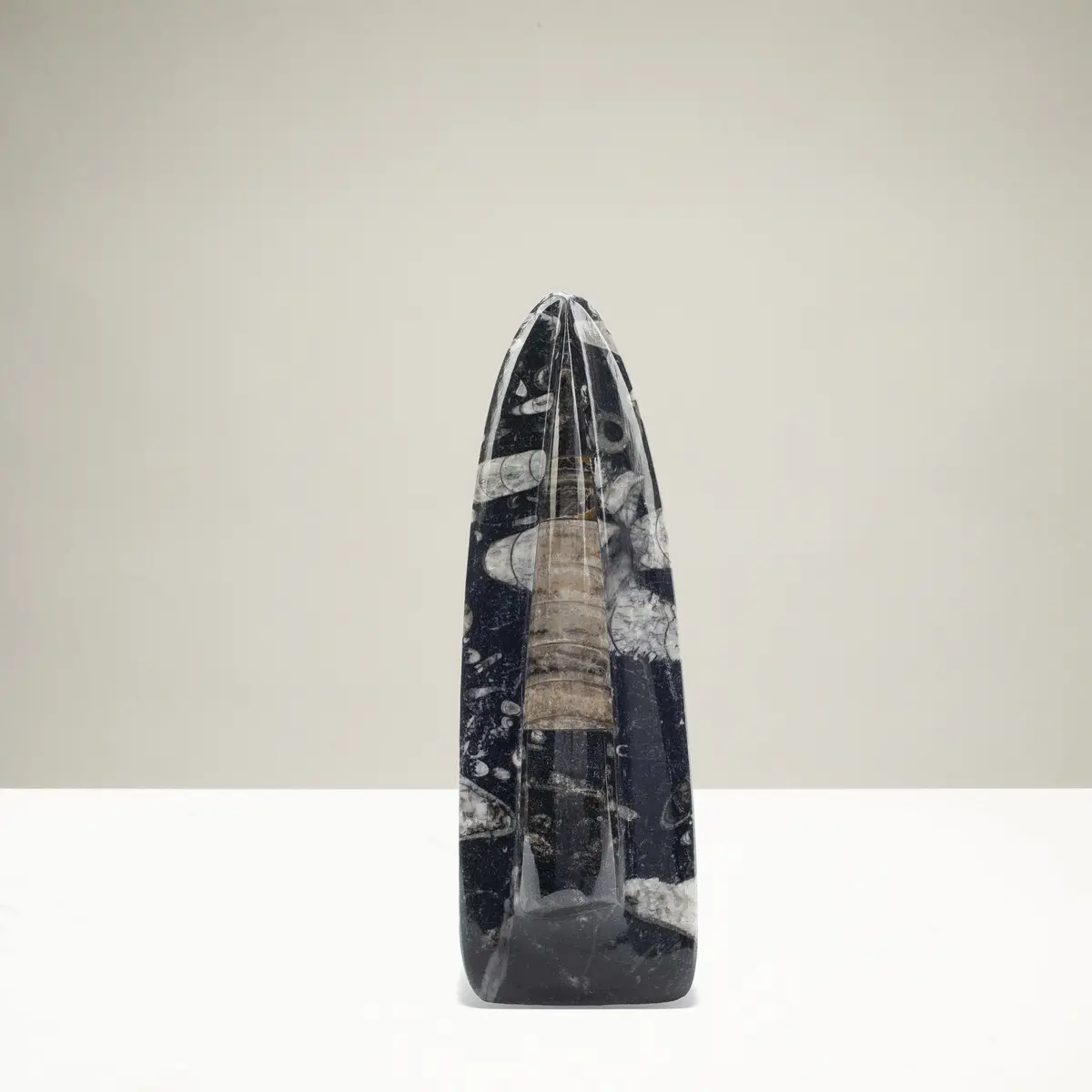 Standing Orthoceras Fossil Tower 1