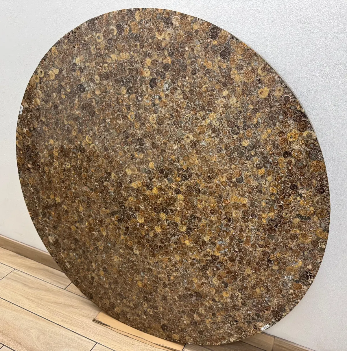 Ammonite Table From Madagascar - 59" 1
